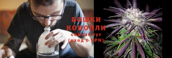 гидропоника Богданович