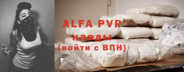 МДПВ Богородск