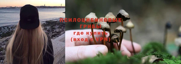 гидропоника Богданович