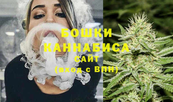 МДПВ Богородск
